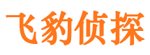 点军市侦探调查公司